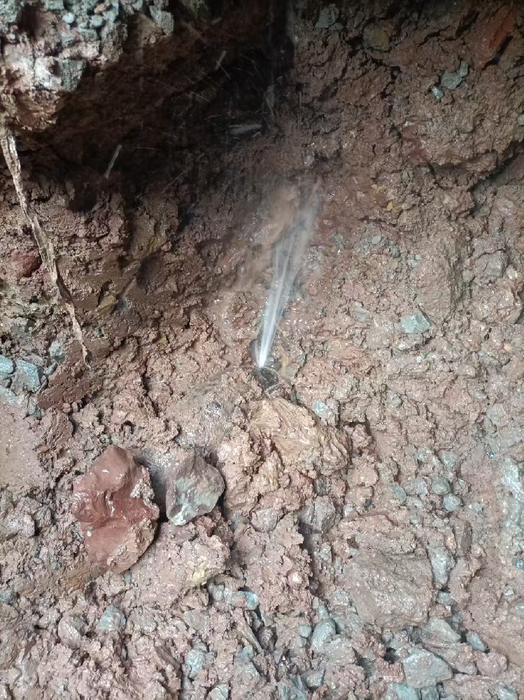 自来水管漏水检测维修-丽水